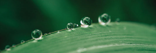 NOT ALL HYALURONIC ACIDS ARE CREATED EQUAL